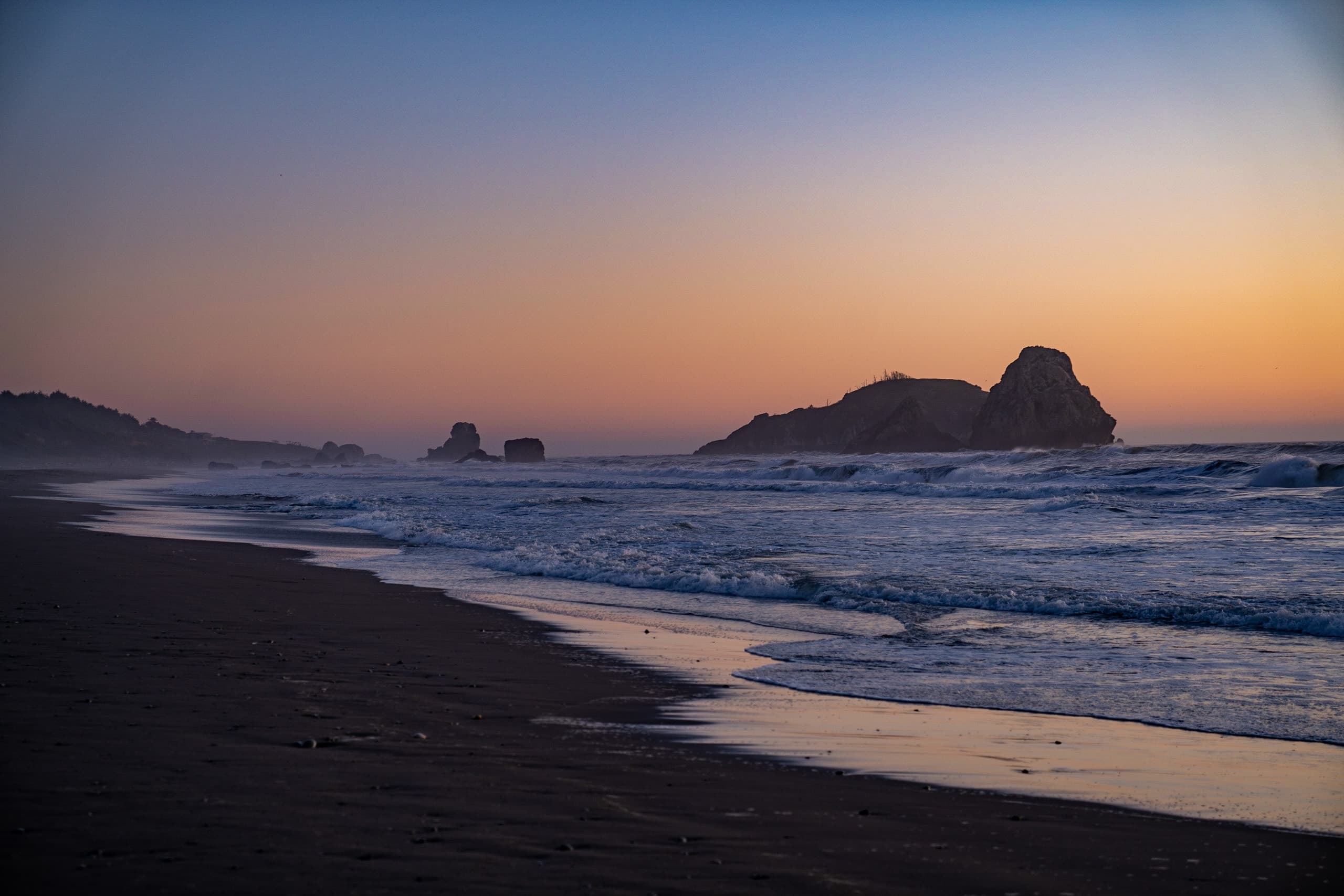 Open beach and horizon where forest meets sea