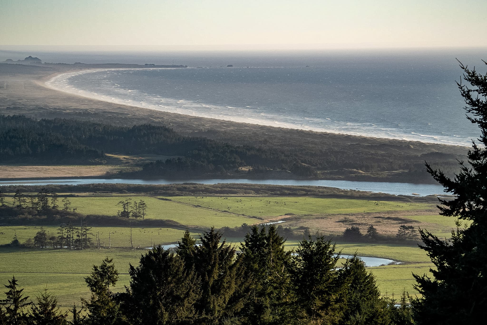 Wind-sculpted dunes and coastal grasses