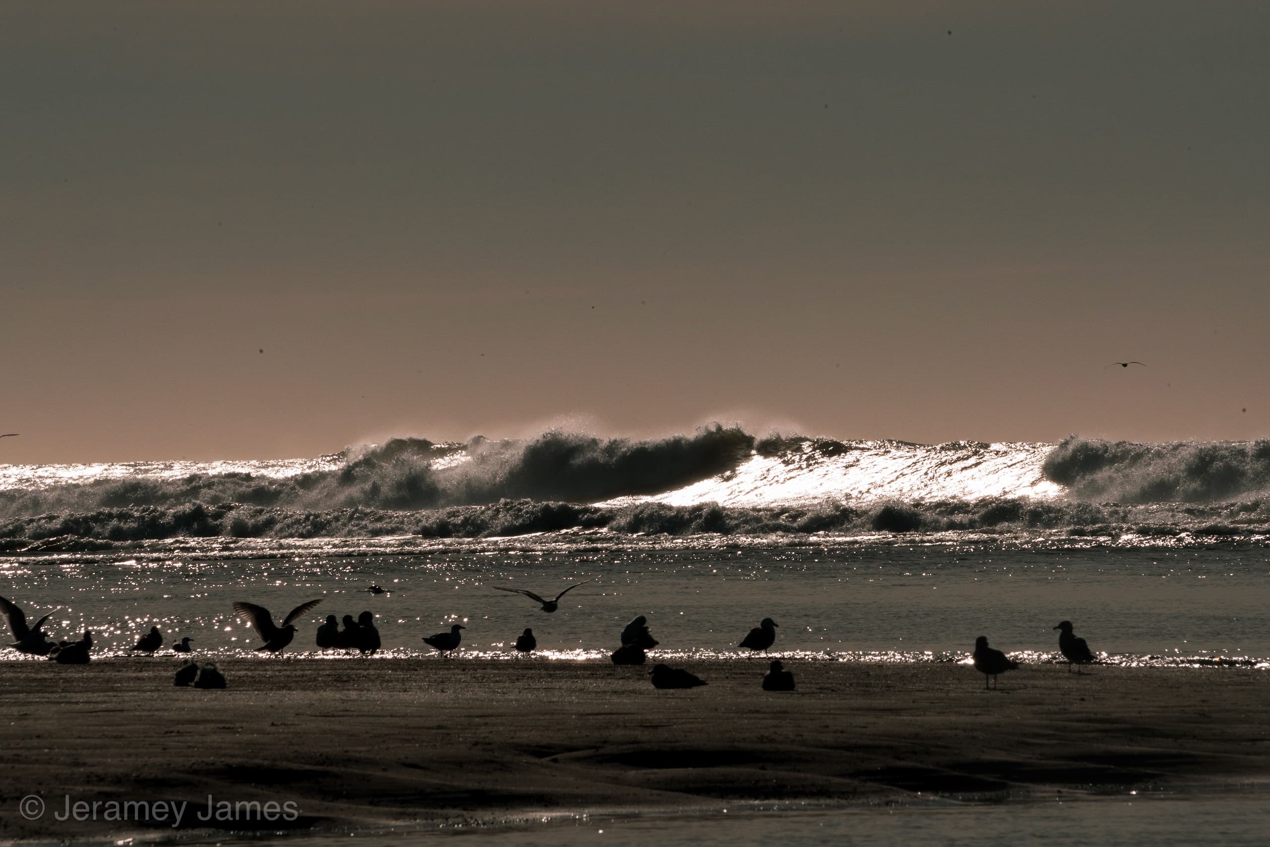 Winter light on the coastline